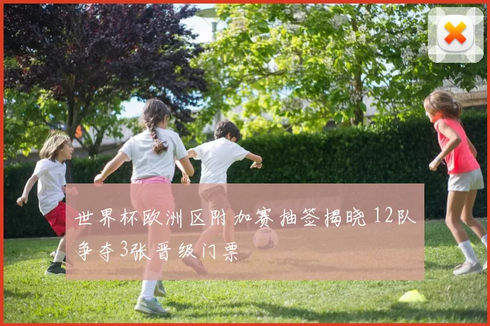 世界杯欧洲区附加赛抽签揭晓 12队争夺3张晋级门票