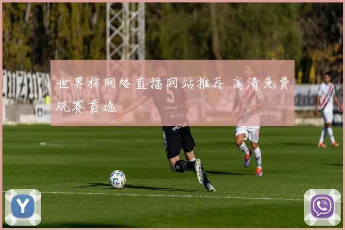 世界杯网络直播网站推荐 高清免费观赛首选