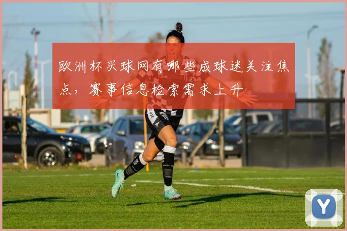 欧洲杯买球网有哪些成球迷关注焦点,赛事信息检索需求上升