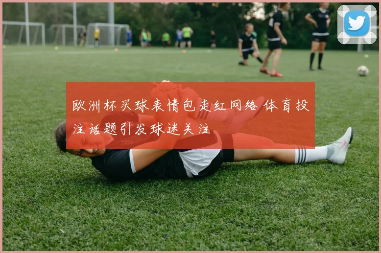 欧洲杯买球表情包走红网络 体育投注话题引发球迷关注